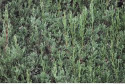 Photo of Mixed Nature Textures